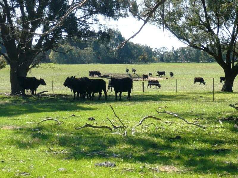 200 IRONMINE ROAD, Lal Lal VIC 3352
