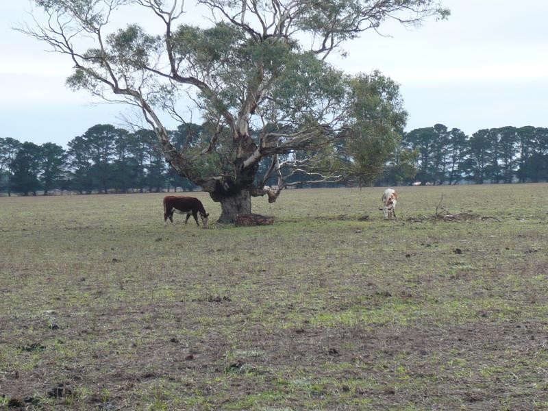 117 Greens Lane, Beremboke VIC 3342