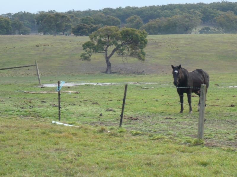 117 Greens Lane, Beremboke VIC 3342