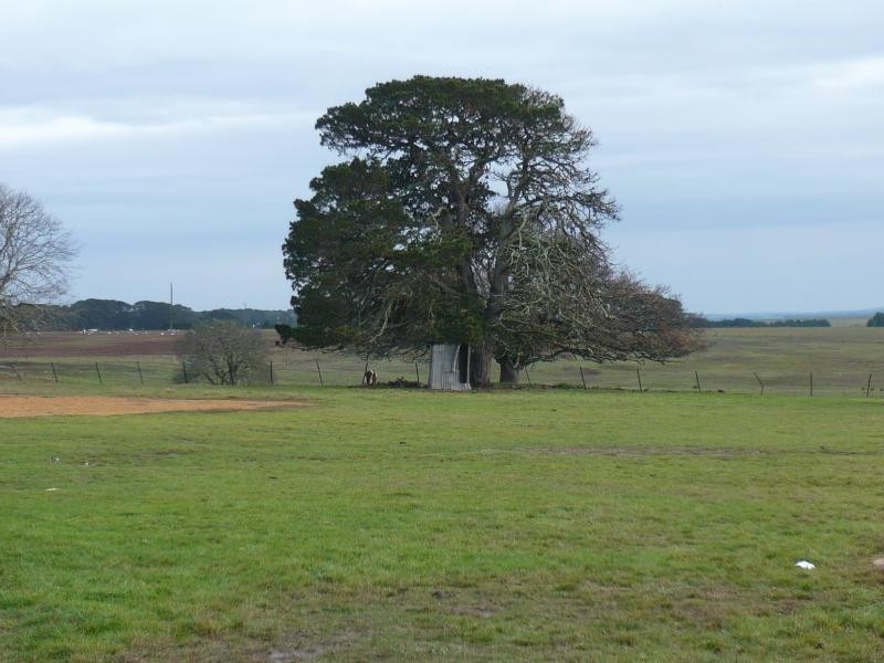 117 Greens Lane, Beremboke VIC 3342