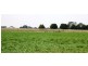752 Ercildoun Rd, Ercildoune VIC 3352