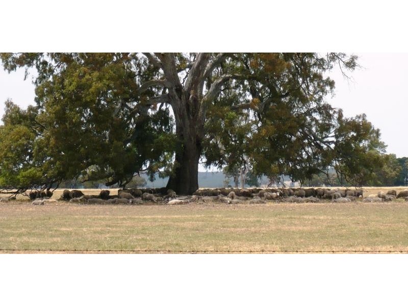 153 Ahern’s Rd, Raglan VIC 3373