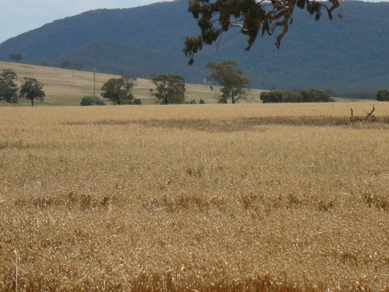 153 Ahern’s Rd, Raglan VIC 3373