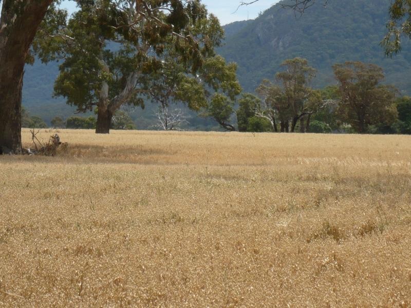 153 Ahern’s Rd, Raglan VIC 3373