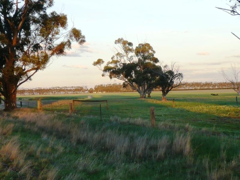 1500 Lismore-Pitfield. Road, Wallinduc VIC 3351