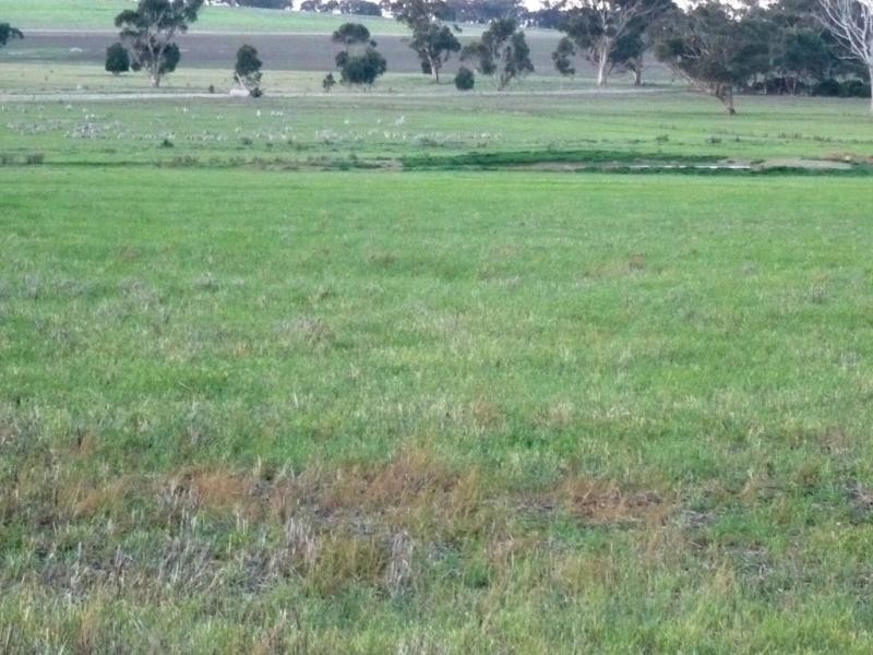 1500 Lismore-Pitfield. Road, Wallinduc VIC 3351