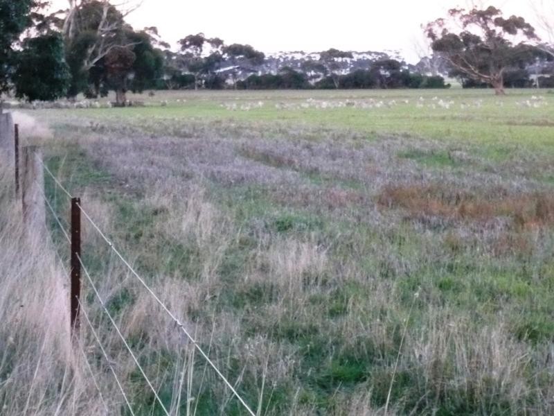 1500 Lismore-Pitfield. Road, Wallinduc VIC 3351