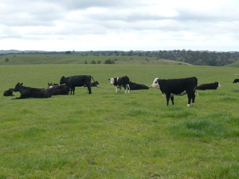 102 Gilletts Lane, Ballan VIC 3342