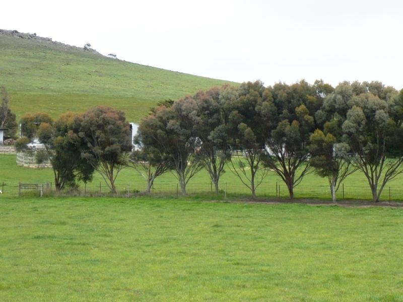 102 Gilletts Lane, Ballan VIC 3342