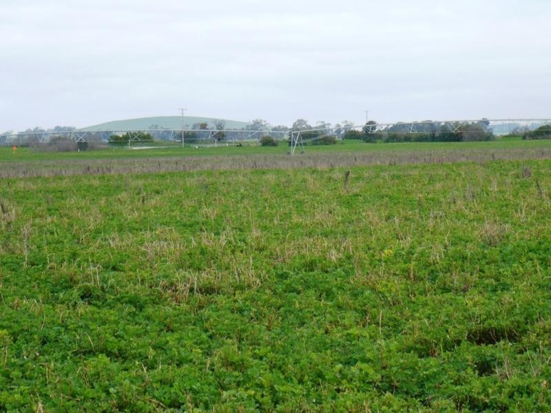 3113 – Part of “KIA ORA” –  Creswick-Newstead Rd, Smeaton VIC 3364