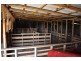 568 Ercildoune Road, Ercildoune VIC 3352