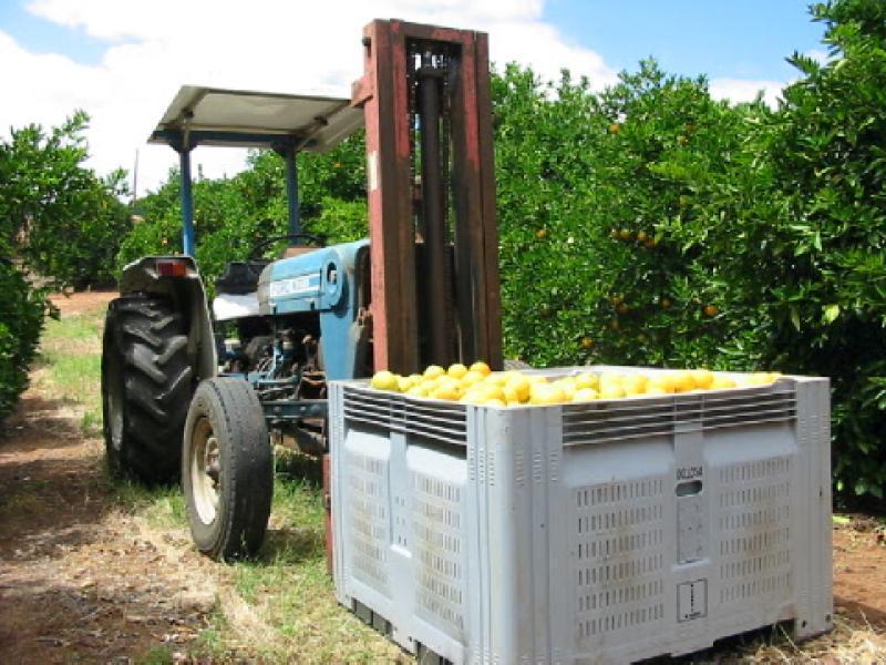 Loxton SA 5333