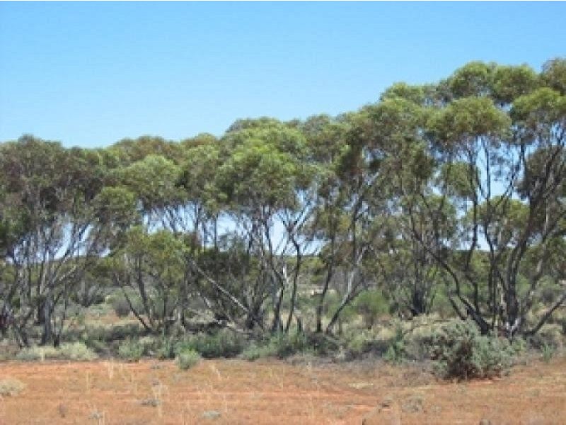 Lot 63 Farley Road, Kingston On Murray SA 5331