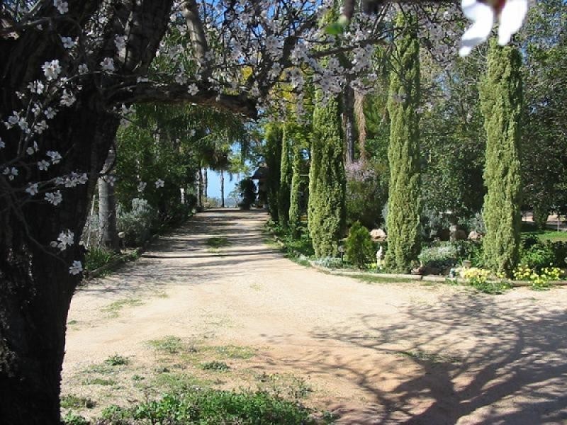 Lot 11 Sturt Highway, Kingston On Murray SA 5331