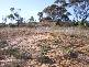 LOT 36 WHEATLEY ROAD, Loxton SA 5333
