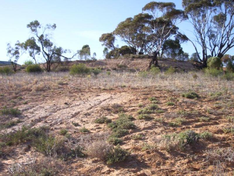 LOT 36 WHEATLEY ROAD, Loxton SA 5333