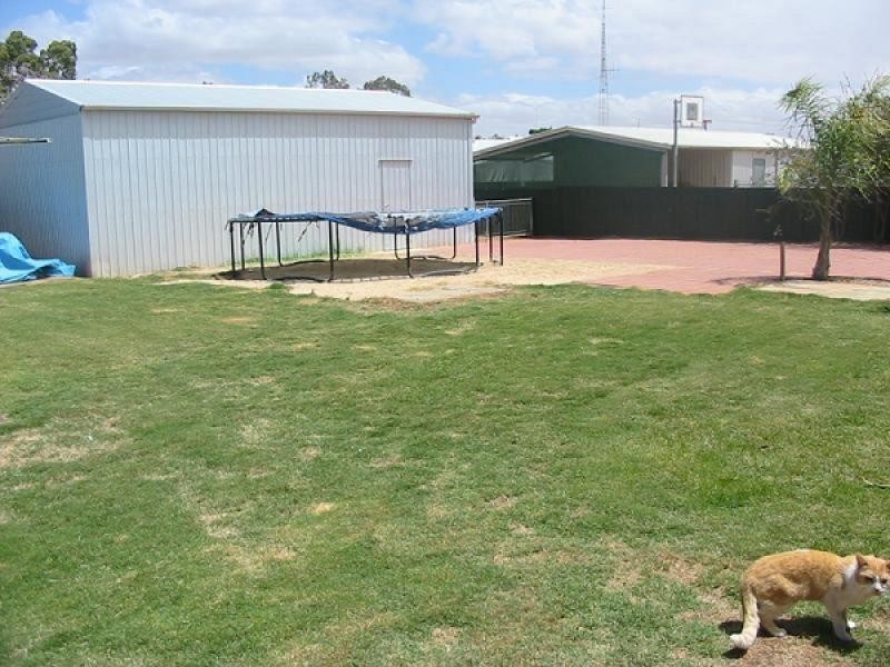 15 Dickerson Street, Barmera SA 5345