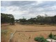 11 Chapple Road, Winkie SA 5343