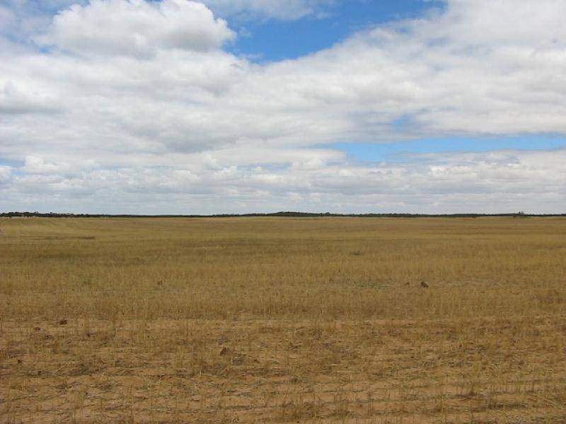 WANBI DOWNS SOUTH OF MURRAY BRIDGE/LOXTON HIGHWAY, Wanbi SA 5310