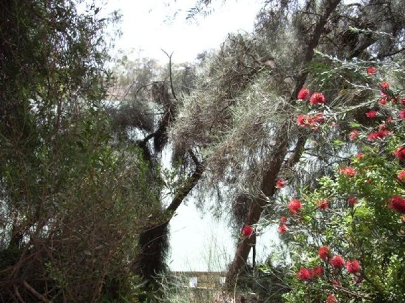 Lot 38 Lot 38, New Residence SA 5333