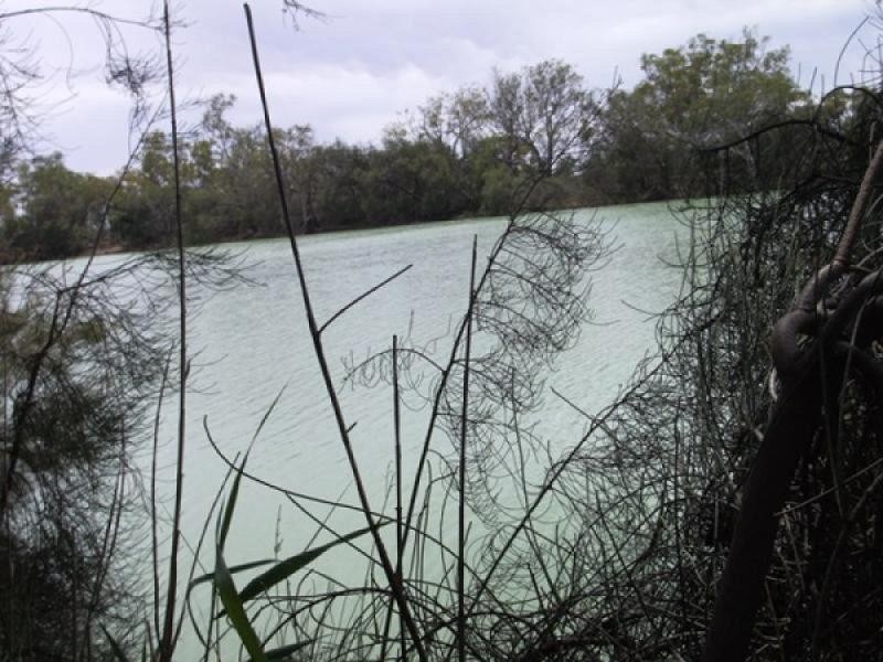 Lot 38 Lot 38, New Residence SA 5333