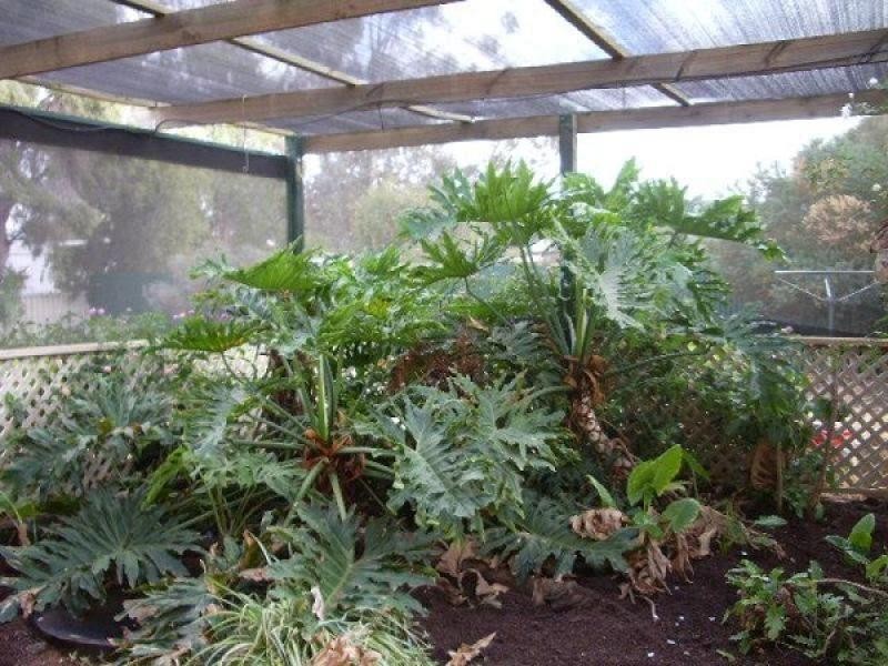 7 Gratwick Road, Loxton SA 5333