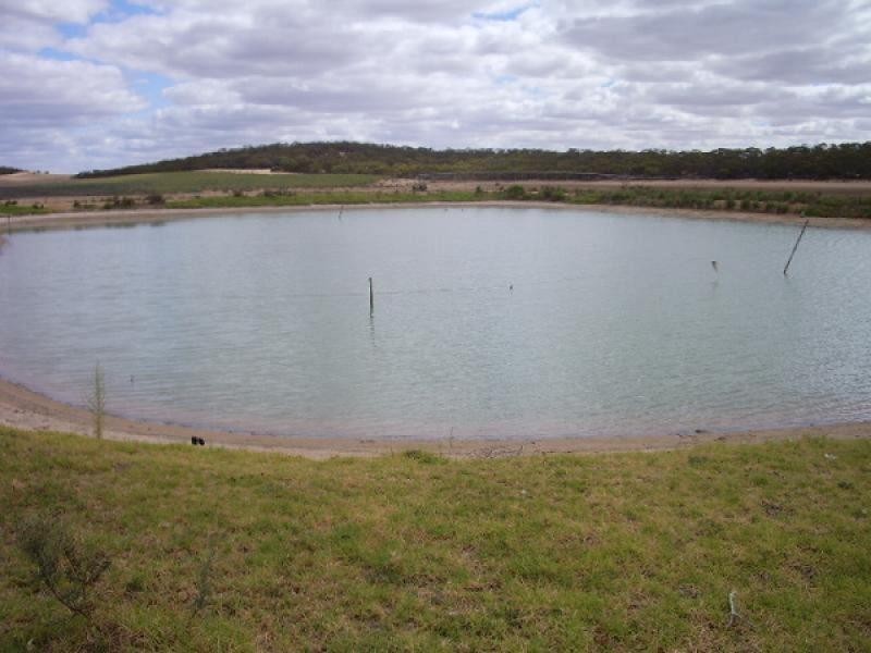 Section 39/Section 39/ Hundred, Peebinga SA 5304