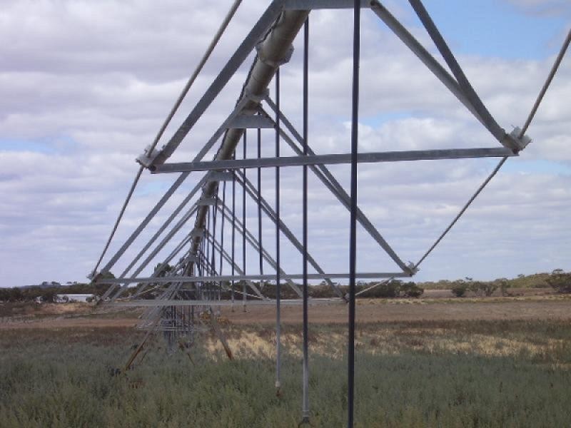 Section 39/Section 39/ Hundred, Peebinga SA 5304