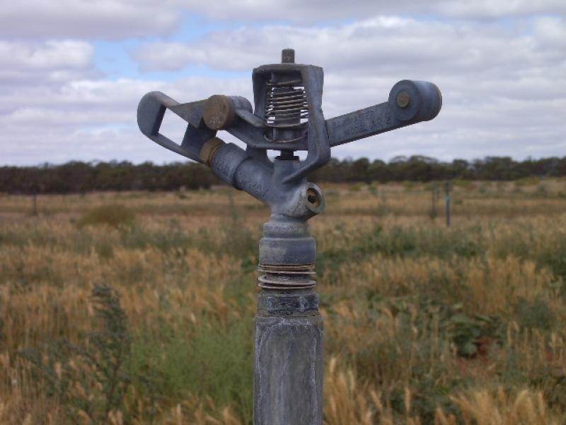 Section 39/Section 39/ Hundred, Peebinga SA 5304