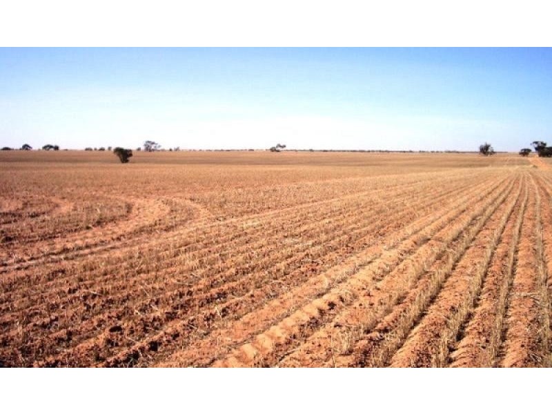 Lot 49, 56, 60 Parish of of Ginquam, Mildura VIC 3500