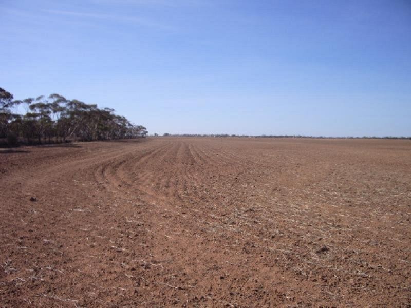 Lot 49, 56, 60 Parish of of Ginquam, Mildura VIC 3500