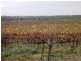 Section 749 Hundred of Bookpurnong, Loxton SA 5333