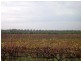 Section 749 Hundred of Bookpurnong, Loxton SA 5333