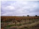 Section 749 Hundred of Bookpurnong, Loxton SA 5333
