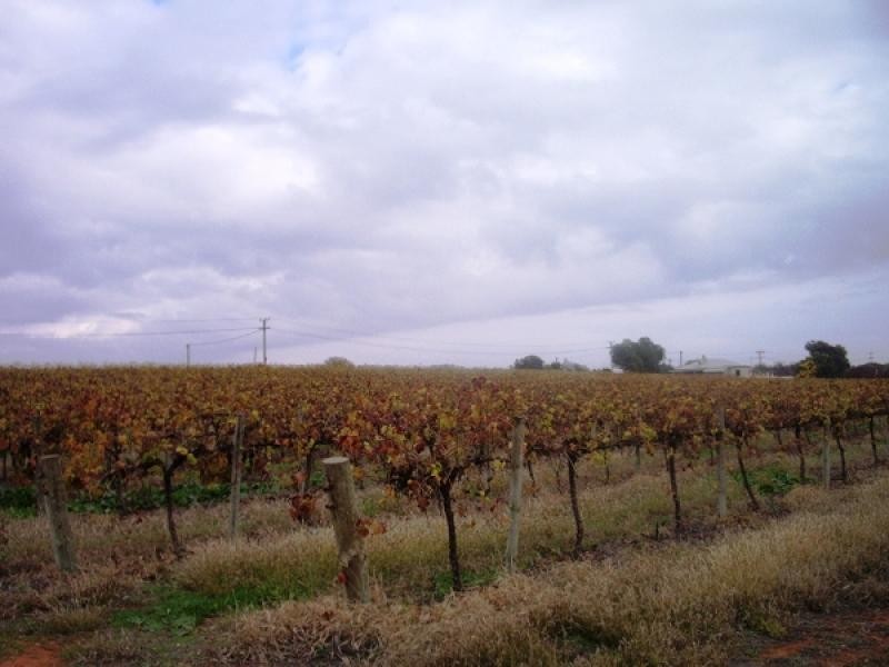Section 749 Hundred of Bookpurnong, Loxton SA 5333