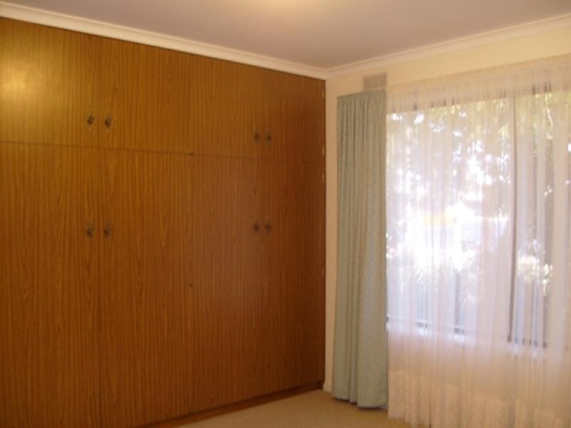 16 Dennis Street, Berri SA 5343