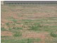 Section 212 Winkie Road, Winkie SA 5343