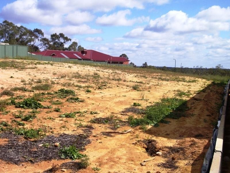 7 McEwen Drive, Loxton SA 5333