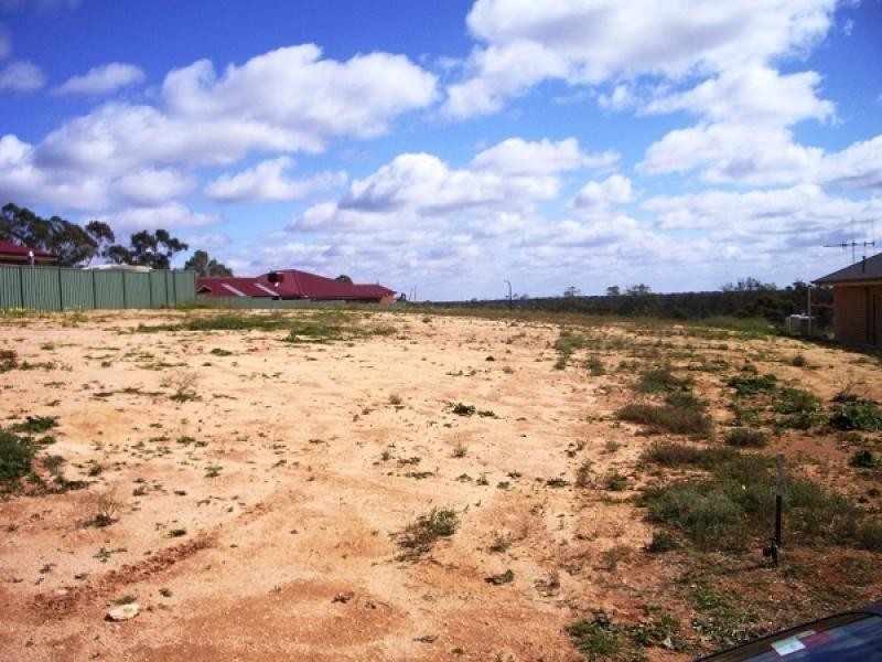 7 McEwen Drive, Loxton SA 5333