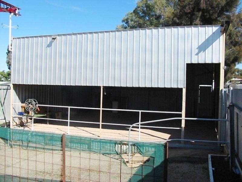17 Railway Terrace, Paringa SA 5340