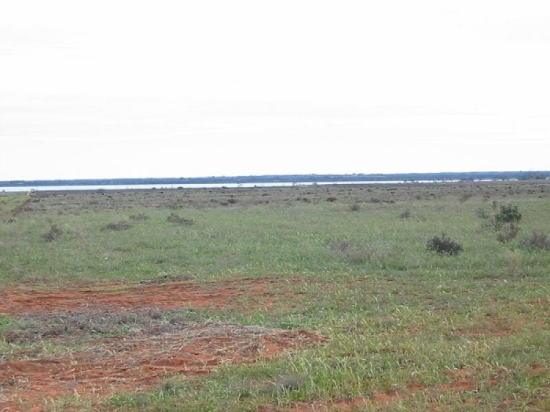 Lot 43 Queen Elizabeth Drive, Barmera SA 5345