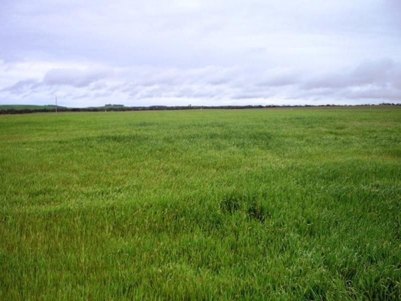 48, 49, 50 &amp 51 HD of Wilson, Sandalwood SA 5309