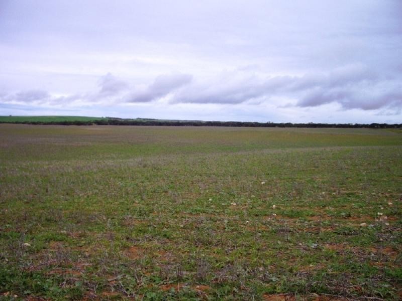 48, 49, 50 &amp 51 HD of Wilson, Sandalwood SA 5309