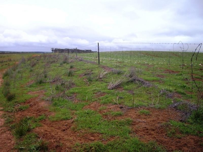 48, 49, 50 &amp 51 HD of Wilson, Sandalwood SA 5309