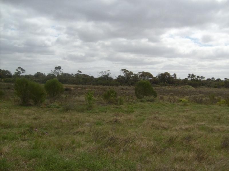 Section 75 Moss Road, Monash SA 5342