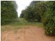 Section 75 Moss Road, Monash SA 5342