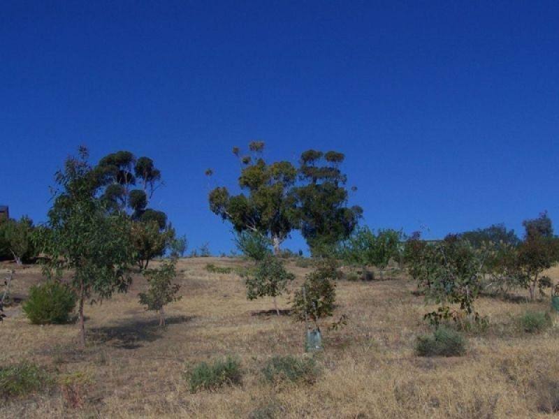 Lot 21 Helbig Drive, Murbko SA 5320