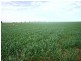 SECTIONS 24,25,26,113 & 153 HD KEKWICK, Loxton SA 5333