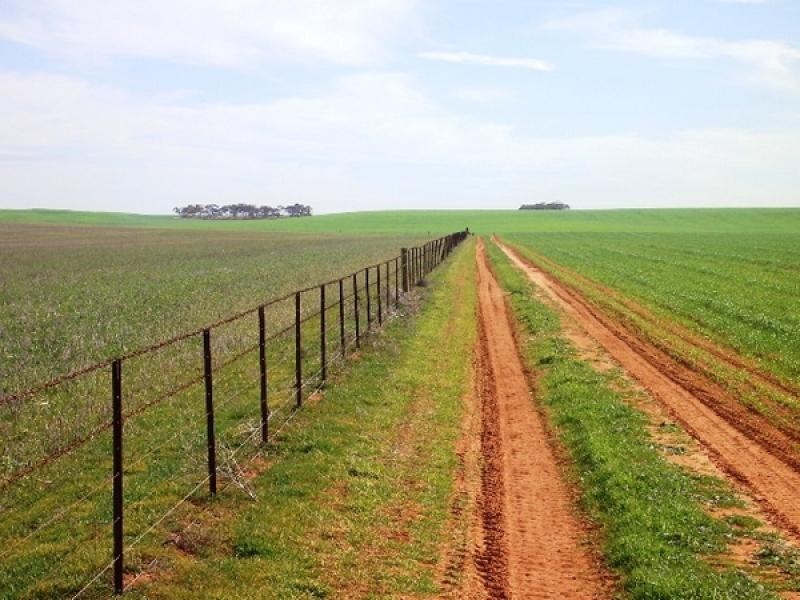 SECTIONS 24,25,26,113 & 153 HD KEKWICK, Loxton SA 5333