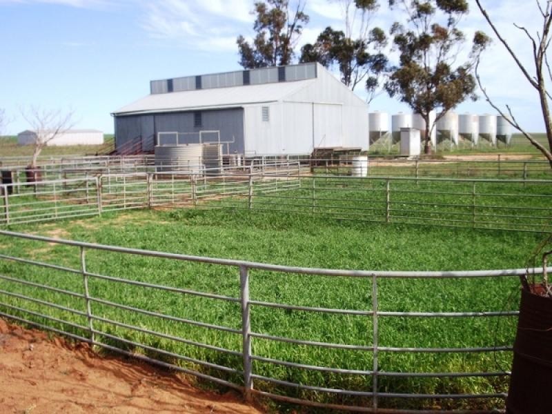 SECTIONS 24,25,26,113 & 153 HD KEKWICK, Loxton SA 5333